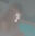2025-12-24 22:57の投稿