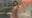 2026-01-03 19:02の投稿