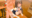 2026-01-14 00:00の投稿