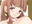 2020-06-20 04:18の投稿