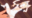 2026-01-19 00:00の投稿