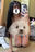 2026-01-20 22:17の投稿
