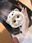 2026-01-21 12:00の投稿