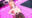 2026-01-23 20:00の投稿