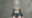 2026-01-29 00:54の投稿