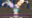 2026-01-31 01:22の投稿