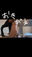 2026-01-31 10:49の投稿