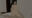 2026-02-08 10:56の投稿