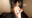 2026-02-11 19:00の投稿