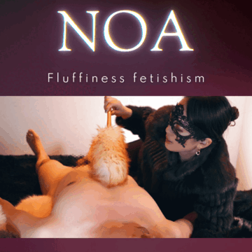 2026-02-12 19:10の投稿