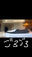 2026-02-14 20:16の投稿