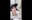 2026-02-19 20:00の投稿