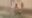 2026-02-21 19:01の投稿
