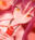 2026-02-20 07:50の投稿