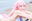 2026-02-21 20:16の投稿