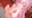 2026-03-10 00:00の投稿