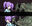 2026-03-12 19:11の投稿