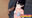 2026-03-21 12:00の投稿
