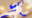 2026-03-16 00:00の投稿