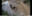 2026-03-14 15:50の投稿
