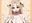 2026-03-17 13:14の投稿