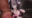 2026-03-19 10:11の投稿