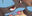 2026-03-20 00:21の投稿