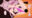 2026-03-20 12:05の投稿