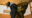 2026-03-20 23:17の投稿