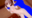 2026-03-23 00:00の投稿