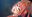 2026-03-23 20:05の投稿