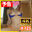 2026-04-13 21:00の投稿