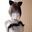 2026-03-27 03:49の投稿