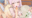 2026-03-29 00:00の投稿