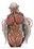 2020-07-03 09:53の投稿
