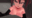 2026-03-30 07:25の投稿