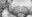 2026-03-30 23:16の投稿