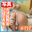 2026-04-08 21:00の投稿