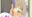 2026-04-06 17:09の投稿