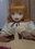 2026-06-07 20:00の投稿