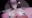 2026-04-08 14:35の投稿