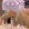 2026-04-11 00:02の投稿
