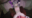2026-04-13 15:08の投稿