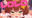 2026-04-16 00:03の投稿