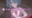 2026-04-16 13:18の投稿