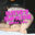 2026-04-18 21:03の投稿