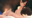 2026-04-18 20:00の投稿