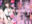 2026-04-19 22:40の投稿