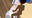 2026-04-20 00:01の投稿