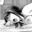 2026-04-20 02:57の投稿